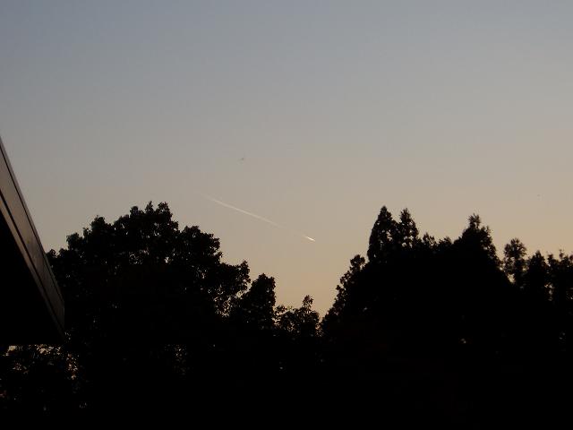 c0086014_23285100.jpg