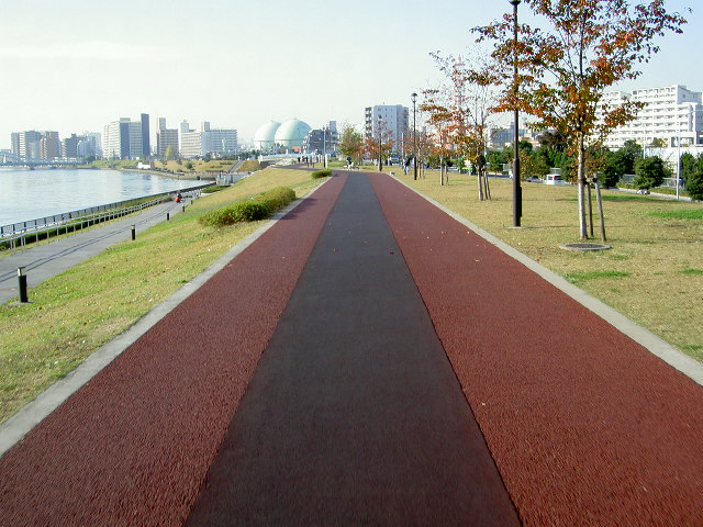 a0077616_9442297.jpg