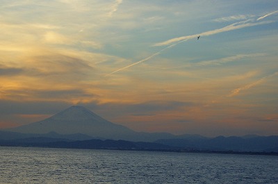 d0094416_0265829.jpg