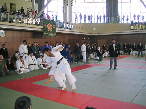 f0063216_9154351.jpg