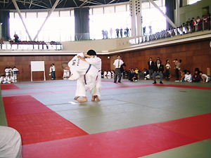 f0063216_9154977.jpg
