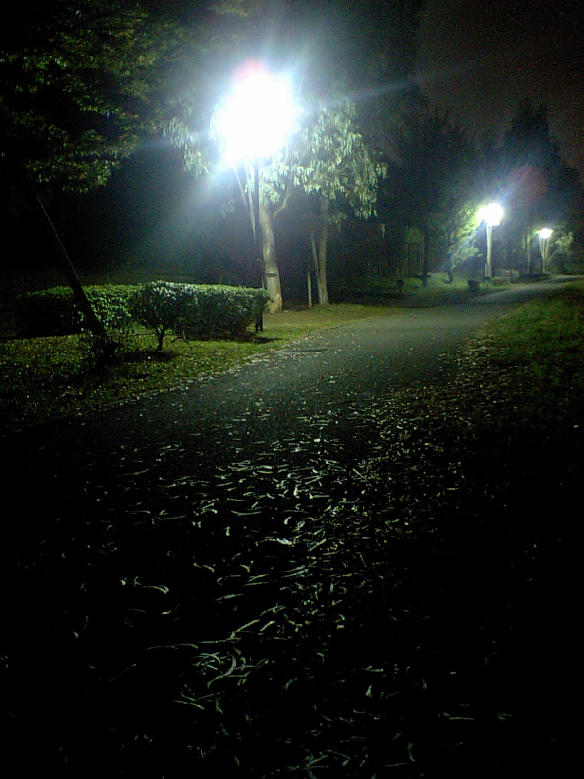 f0108519_22263997.jpg