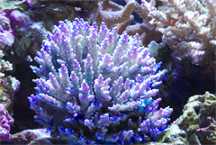 f0033126_2138998.jpg