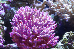 f0033126_21481369.jpg