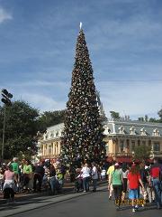 f0006234_2484316.jpg