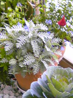 e0067640_23252667.jpg