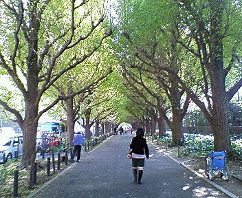 c0059244_20423896.jpg