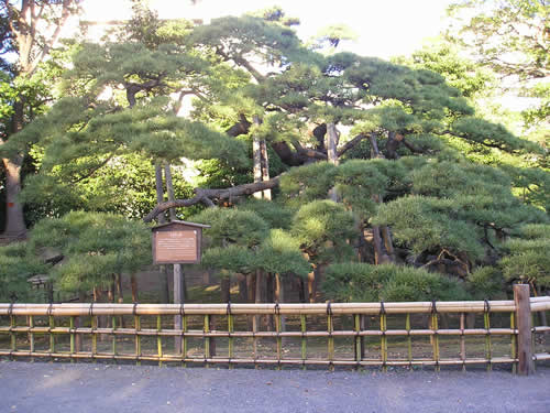 c0059244_22161729.jpg