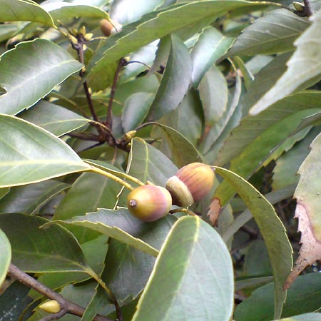 e0034047_16494980.jpg