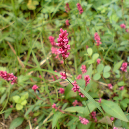 e0034047_16501263.jpg