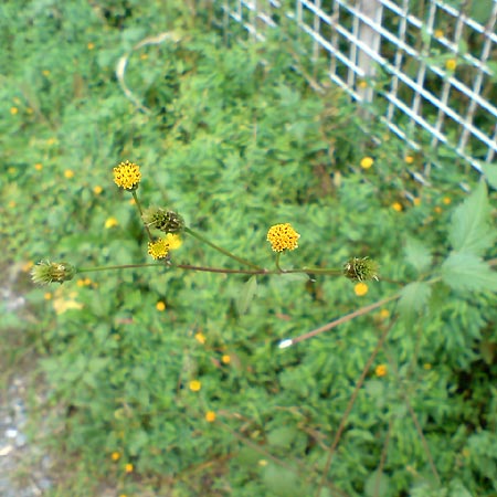 e0034047_16503332.jpg