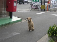 c0081552_153458100.jpg
