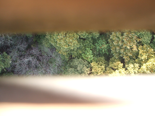 f0096955_0243221.jpg