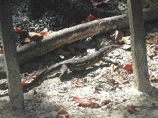 c0032256_2111743.jpg