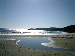 f0045956_764586.jpg
