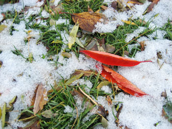 f0009457_028095.jpg