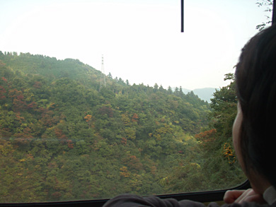 b0036360_054792.jpg