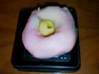 f0107072_0563612.jpg