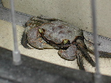 a0091181_1994075.jpg