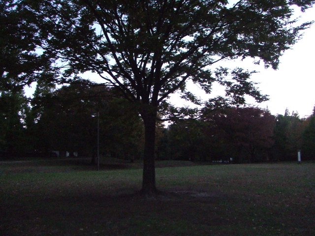 f0028584_12413891.jpg