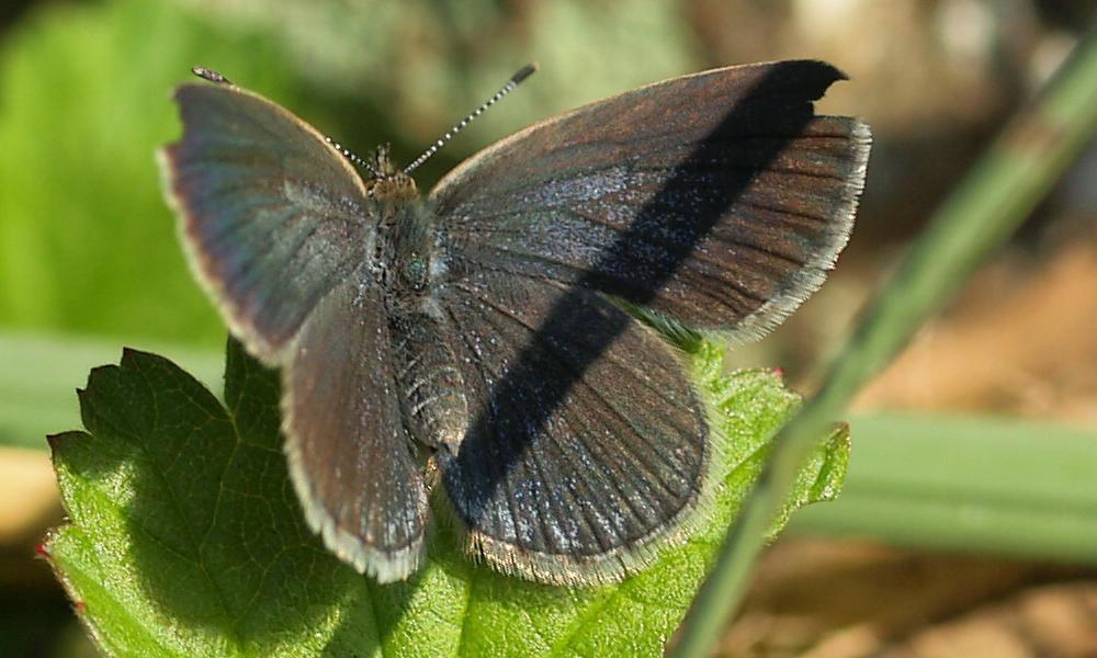 b0108186_234112.jpg