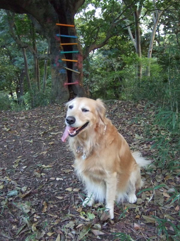 c0104492_91465.jpg