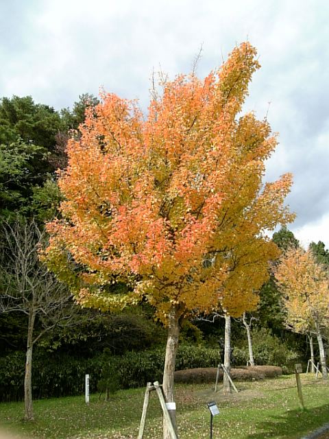 d0004296_0164112.jpg