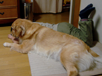 b0004198_34065.jpg