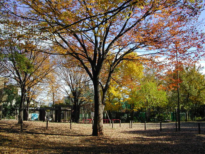 f0108399_1353022.jpg