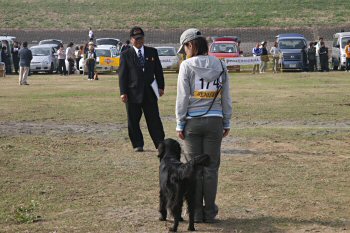 c0050400_11435851.jpg