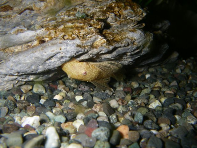 e0010301_16265458.jpg