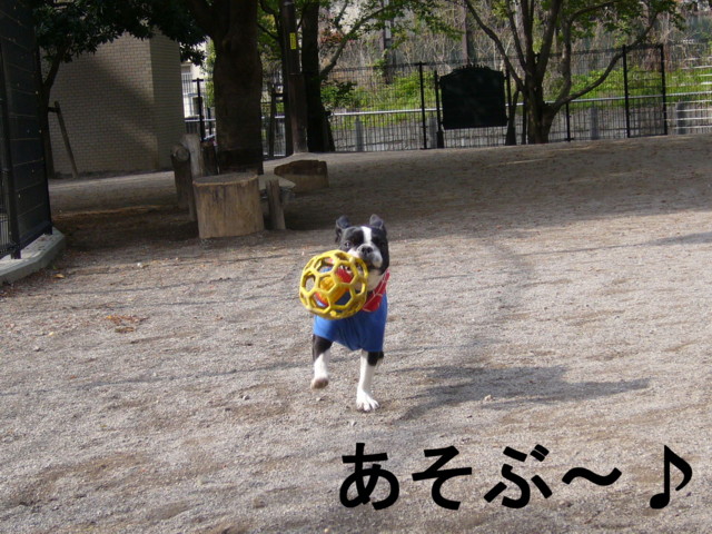d0070702_8182649.jpg
