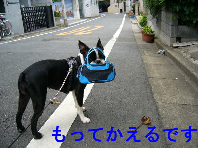 d0070702_821388.jpg