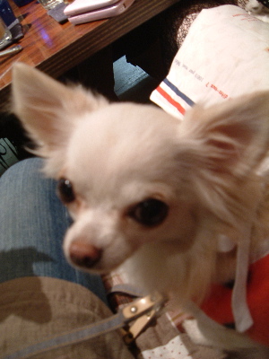 a0079803_22225143.jpg