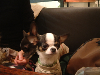 a0079803_22344039.jpg