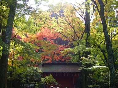 f0065604_21311148.jpg