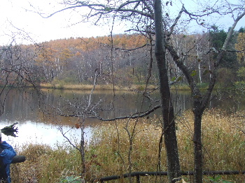 f0041606_19451486.jpg