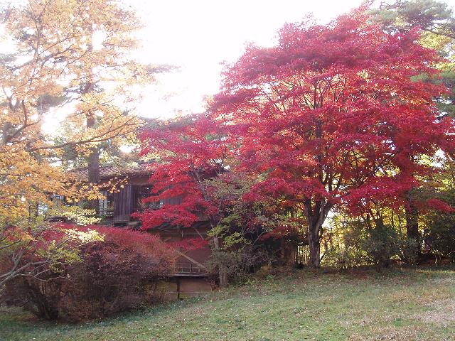 c0086014_22284442.jpg