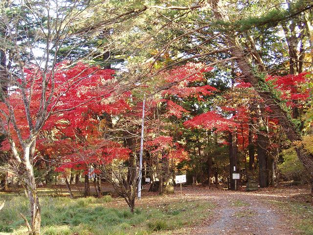 c0086014_2228998.jpg