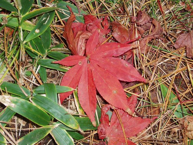 c0086014_22291491.jpg