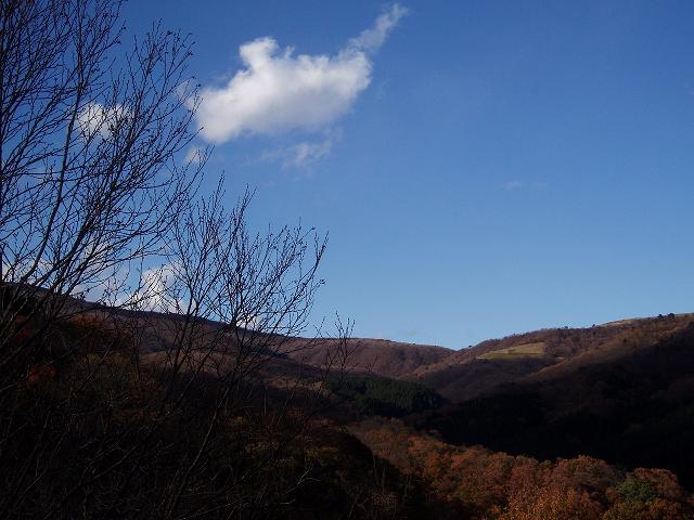 c0086014_2242183.jpg