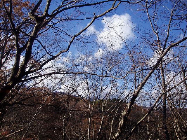 c0086014_224678.jpg
