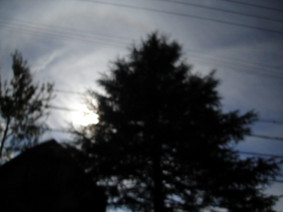 f0107315_0433587.jpg
