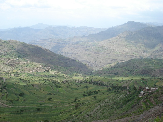 a0090924_8243399.jpg