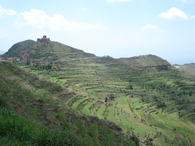 a0090924_8251872.jpg