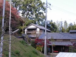d0041124_16145191.jpg