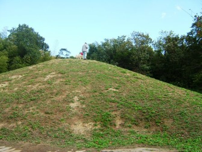 e0024126_993431.jpg
