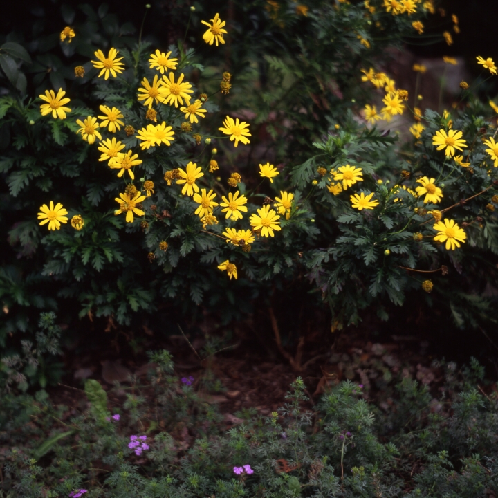 f0072829_0421163.jpg