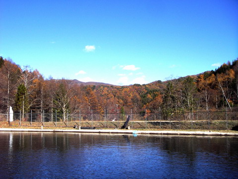 c0090530_20164420.jpg