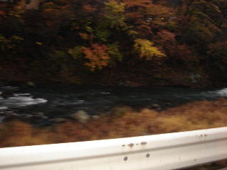 e0023741_2313181.jpg